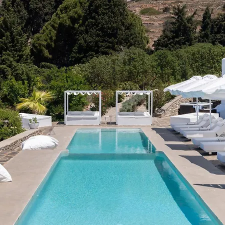 Daire Chrysalis Nature 9